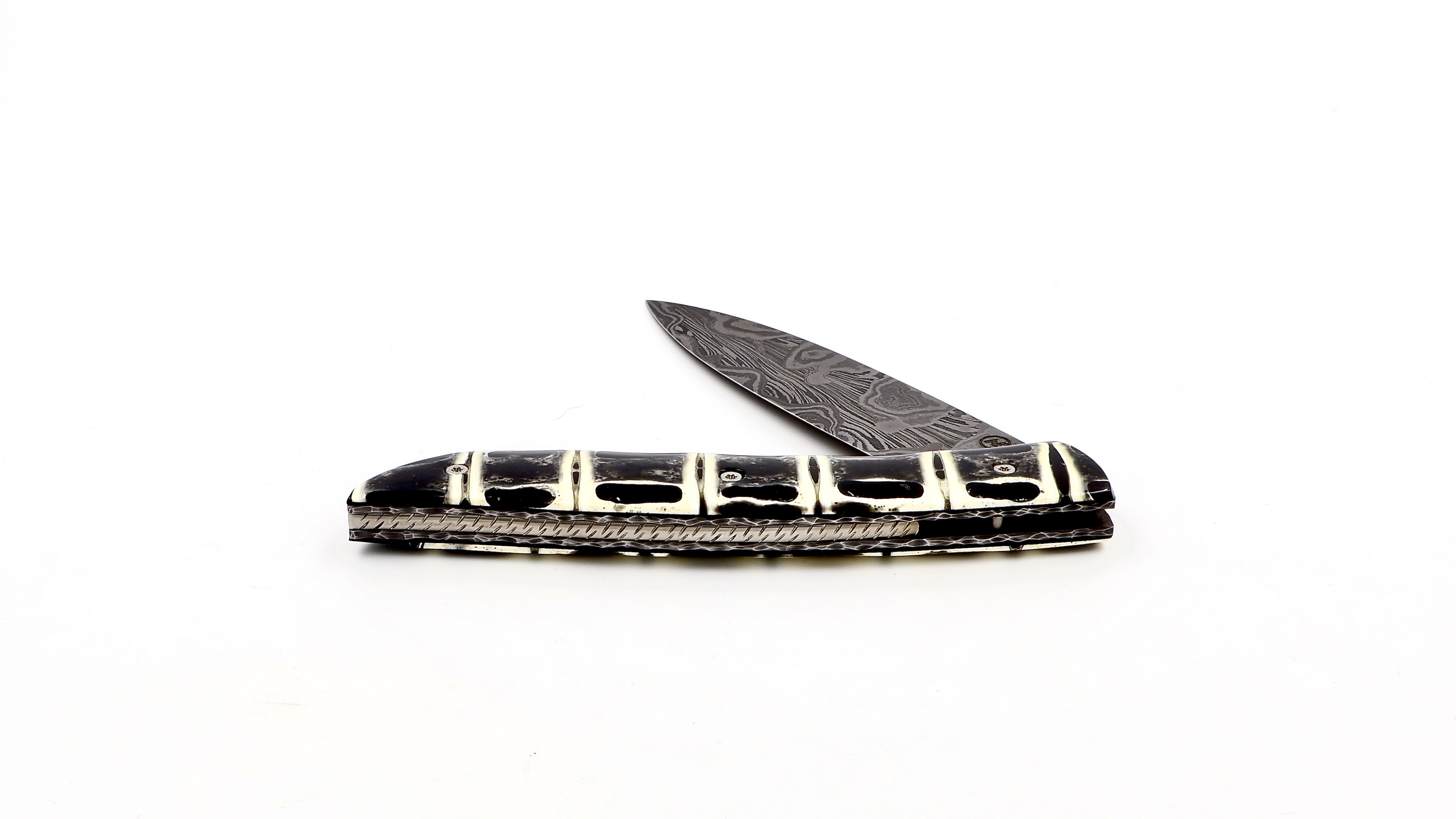 Atelier NÉVÉ Tim Bernard dinosaur bone/Muonionalusta meteorit damascus blade 