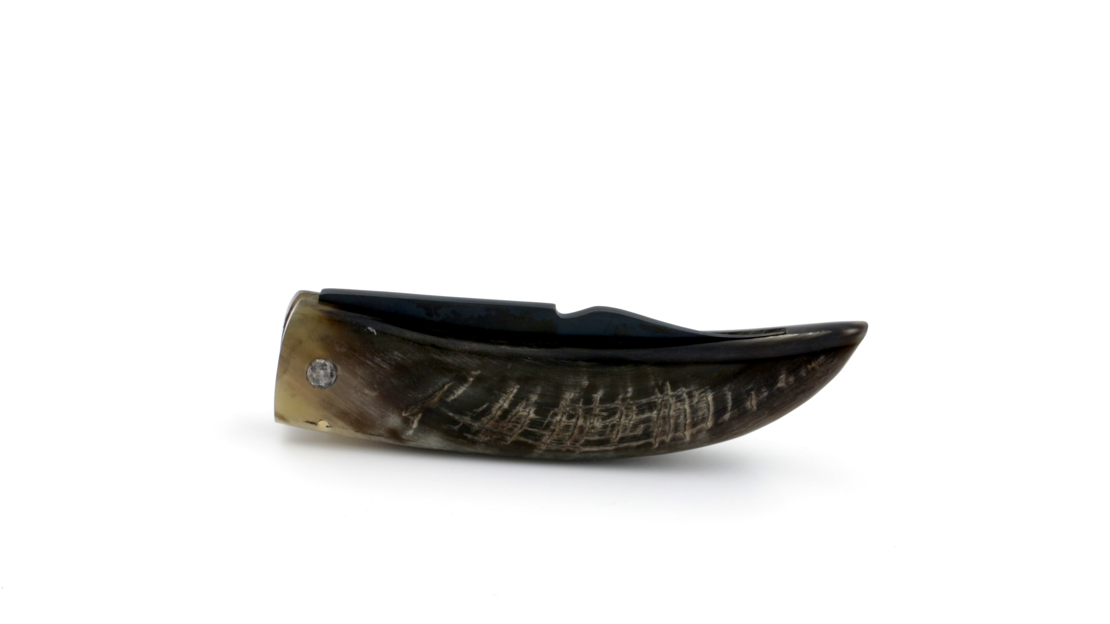 Alexandre Musso Curnicciolu ram horn light