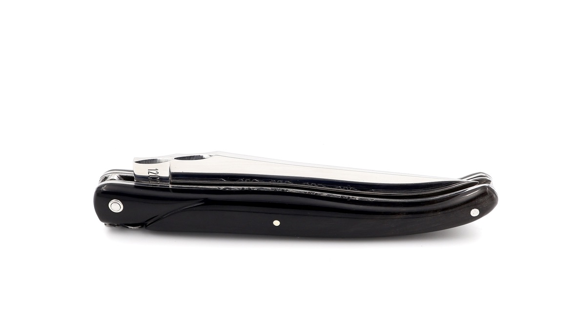 Laguiole en Aubrac double plates knife full handle buffalo horn 12 cm