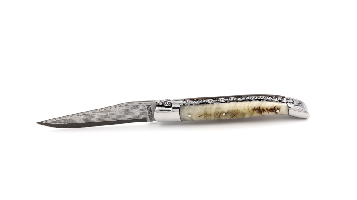 Laguiole en Aubrac double plate knife jap. damascus Ram horn 12 cm