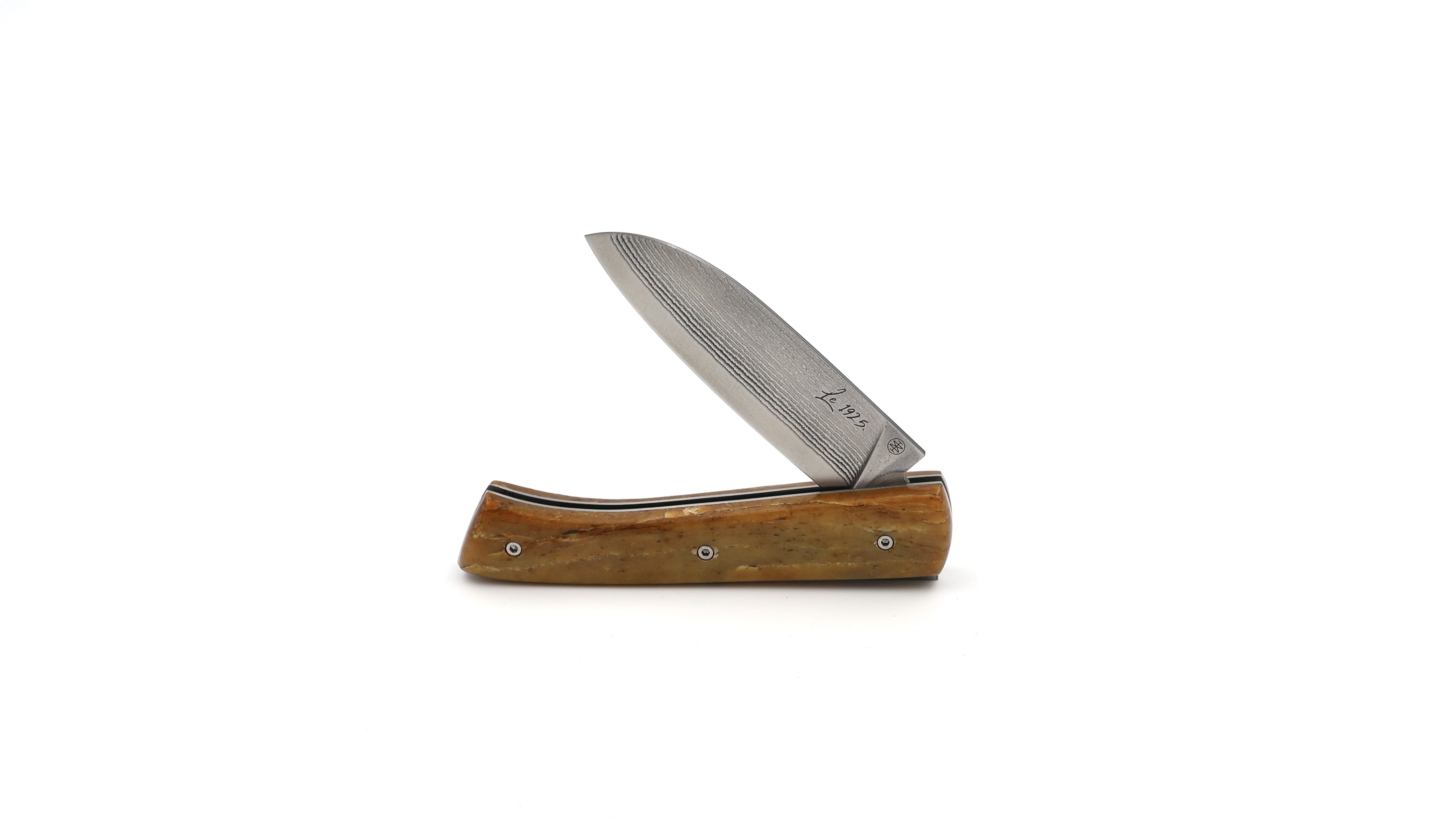 Marie Taillardat Le 1925 BB Suminagashi VG-10 Damascus fossil steller's seecow bone 