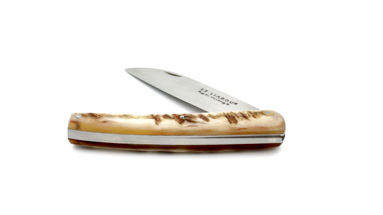 IMG_3934 Liadou du Vallon® ramhorn