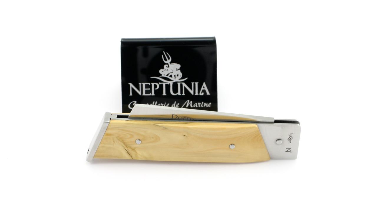 neptunia-dorry-10-cm-buchs-4