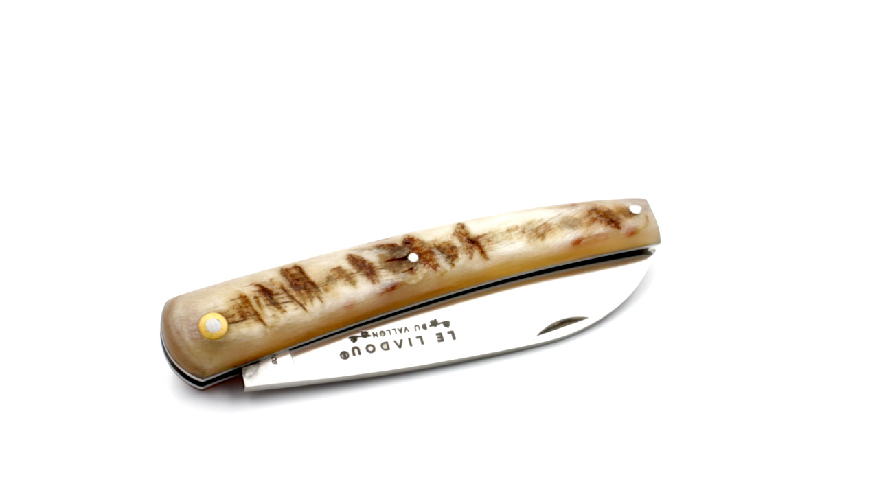 IMG_3930 Liadou du Vallon® ramhorn