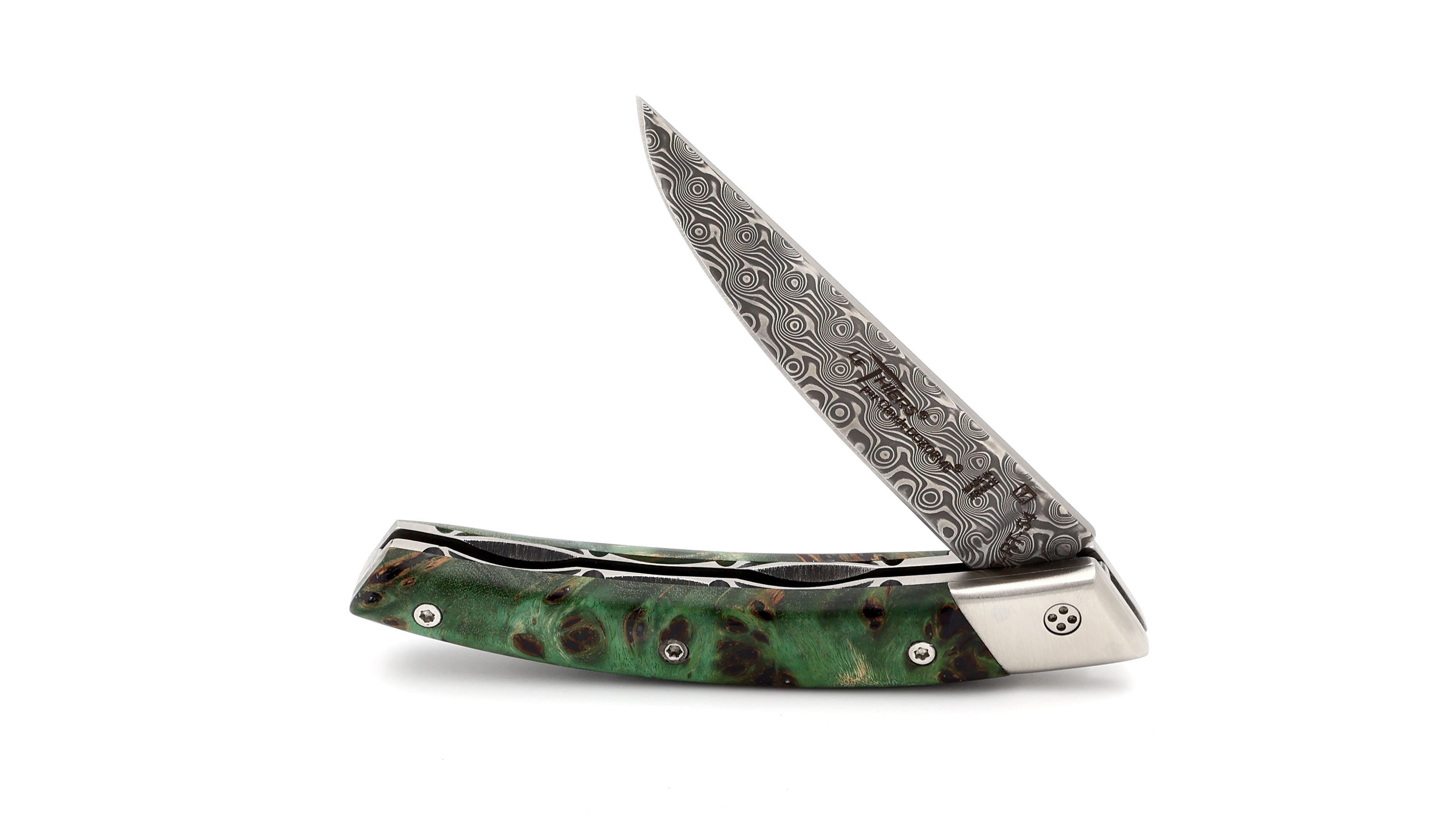 Claude DOZORME Thiers RLT Pappel Wurzel