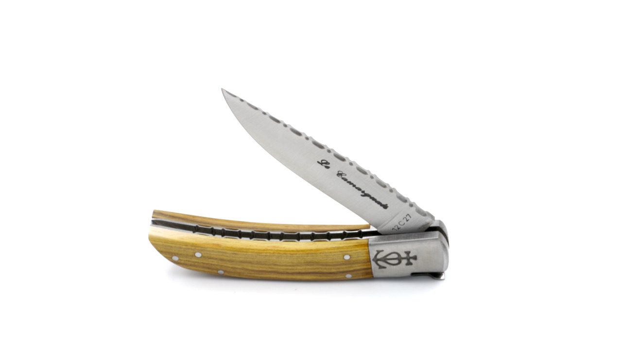 IMG_2956 Le Camarguais knife pistachio with chiseled plates and blade 10 cm