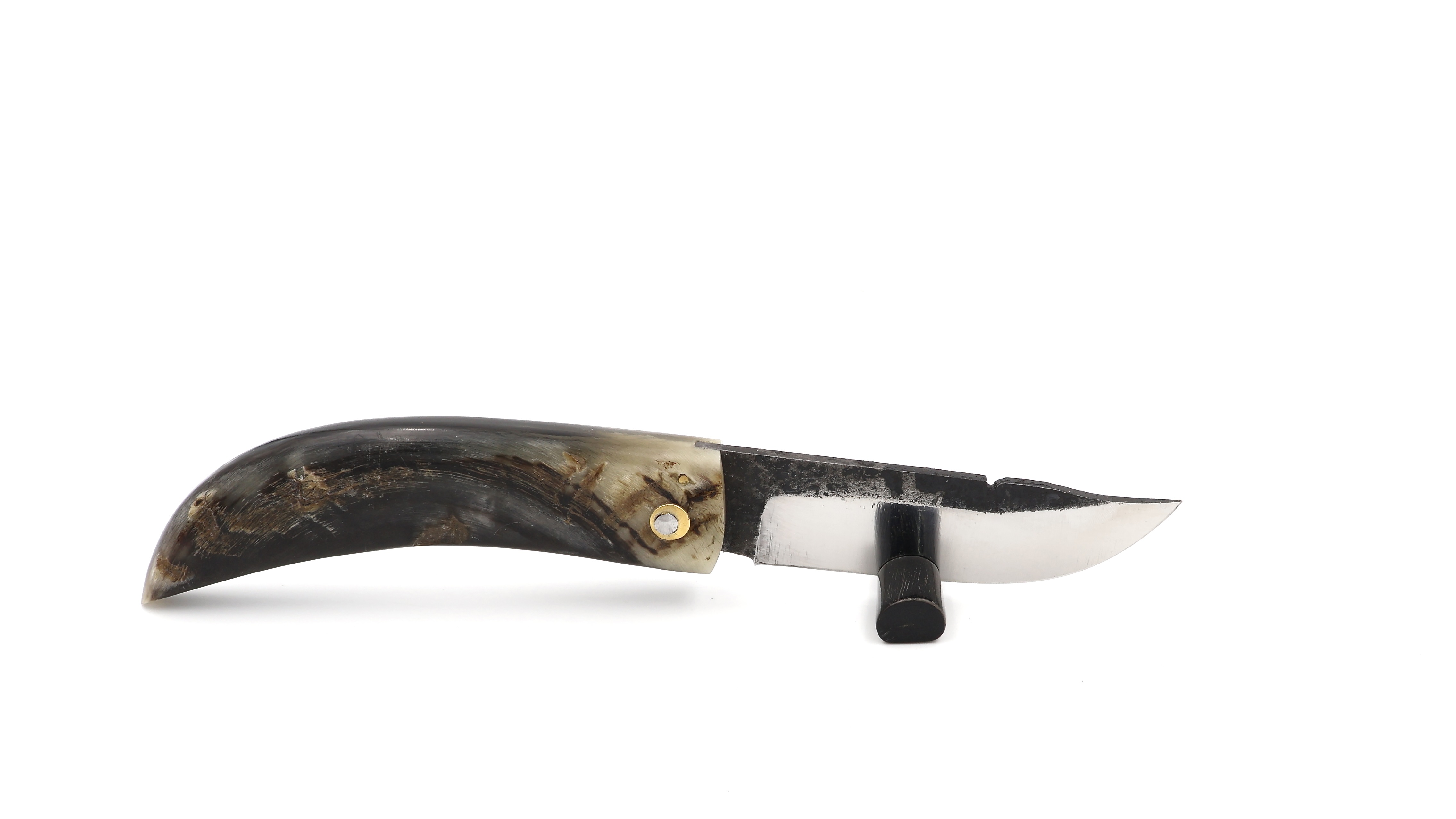 Alexandre Musso Cornicciolu big ram horn  Alexandre Musso Cornicciolu big ram horn