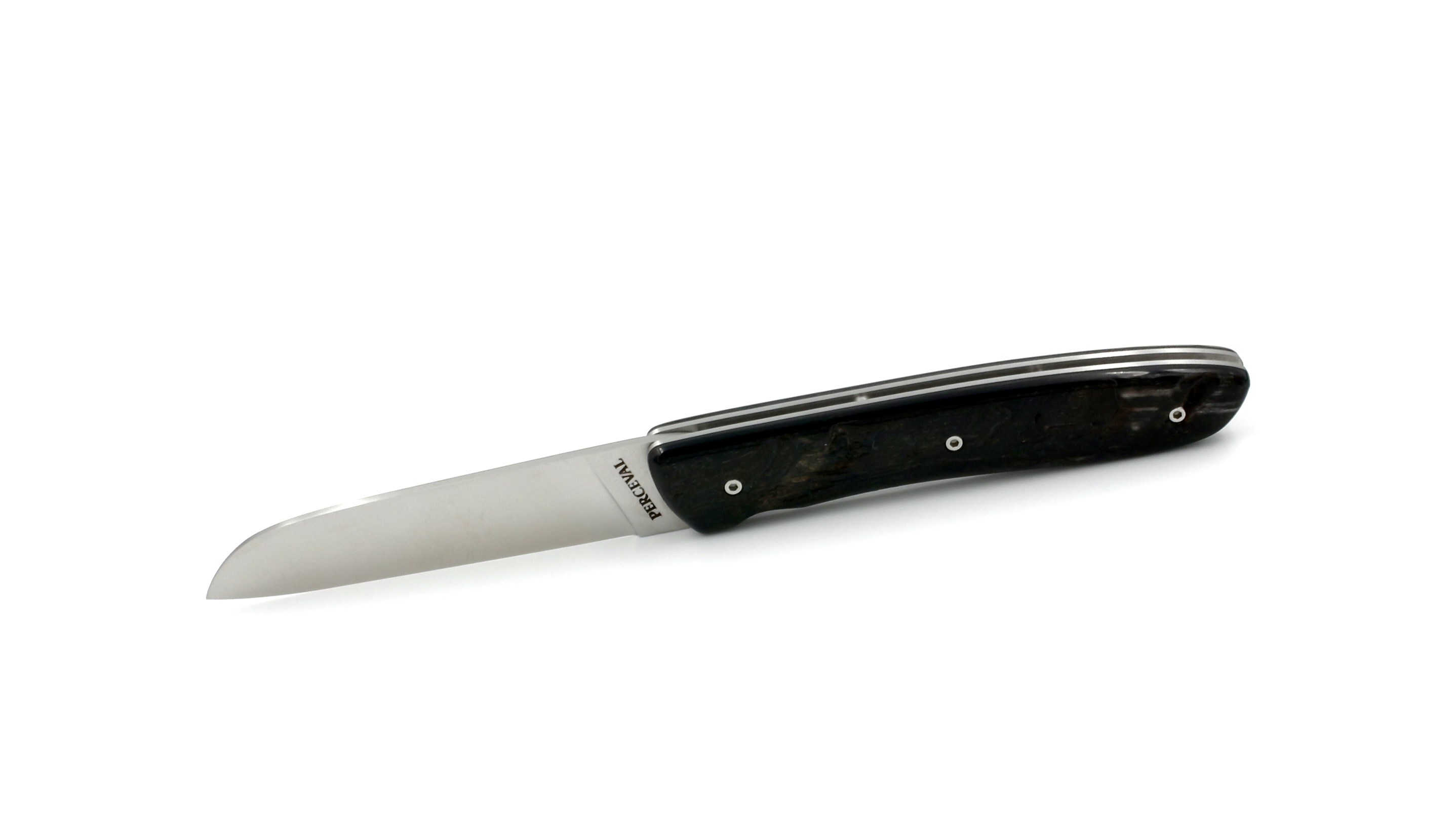 0FE7306F-8E12-4AD4-BBE3-9695C39BED1D_1_201_a PERCEVAL L08 Widderhorn dunkel