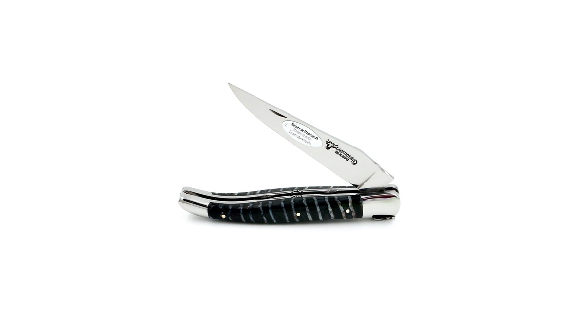 Laguiole en Aubrac double plate knife Mammoth blue 12 cm