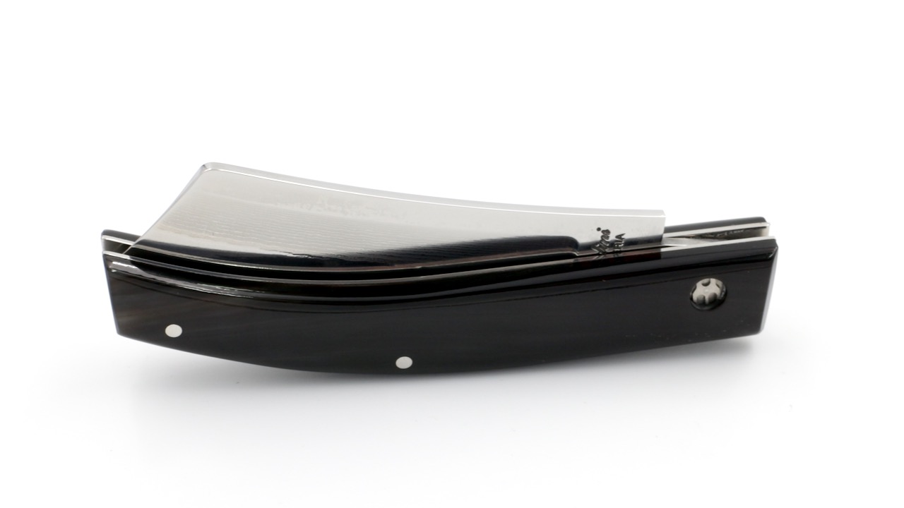 IMG_1254 Saladini RASOLINO Büffelhorn VG10 Damast