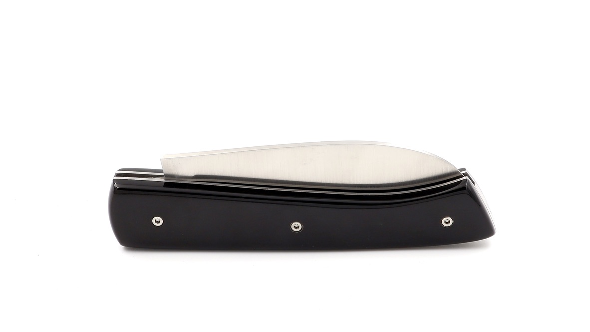 Marie Taillardat Le 1925 stabilized buffalo horn