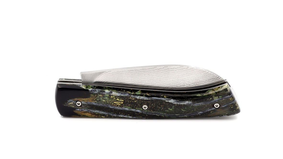 Marie Taillardat Le 1925 Mammut Backenzahn Suminagashi VG10 Damast 