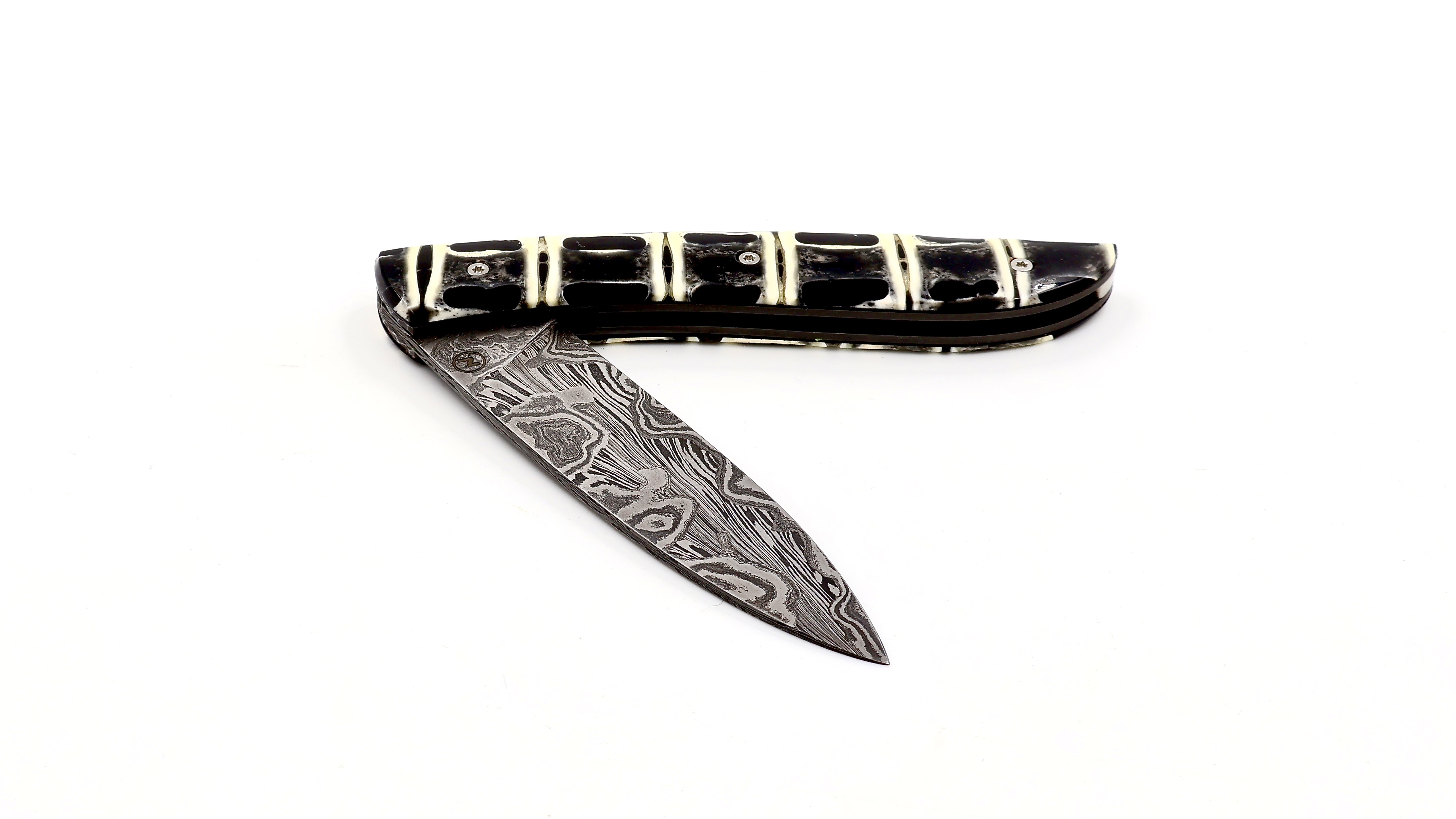 Atelier NÉVÉ Tim Bernard dinosaur bone/Muonionalusta meteorit damascus blade 