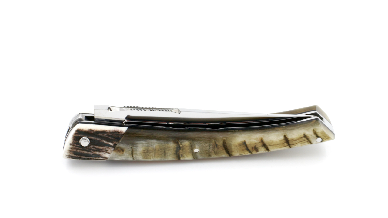 ARBALETE G. David  Thiers knife stag horn / ram horn