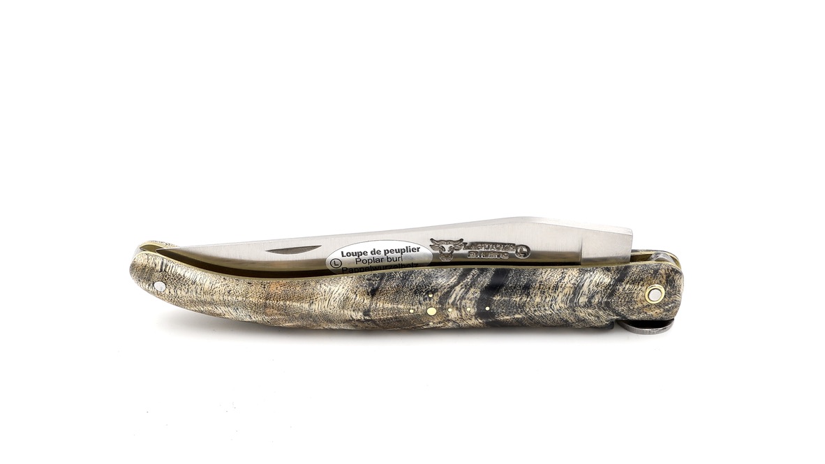 Laguiole en Aubrac Biene LEBENSBAUM schwarze Pappel Wurzel 12 cm