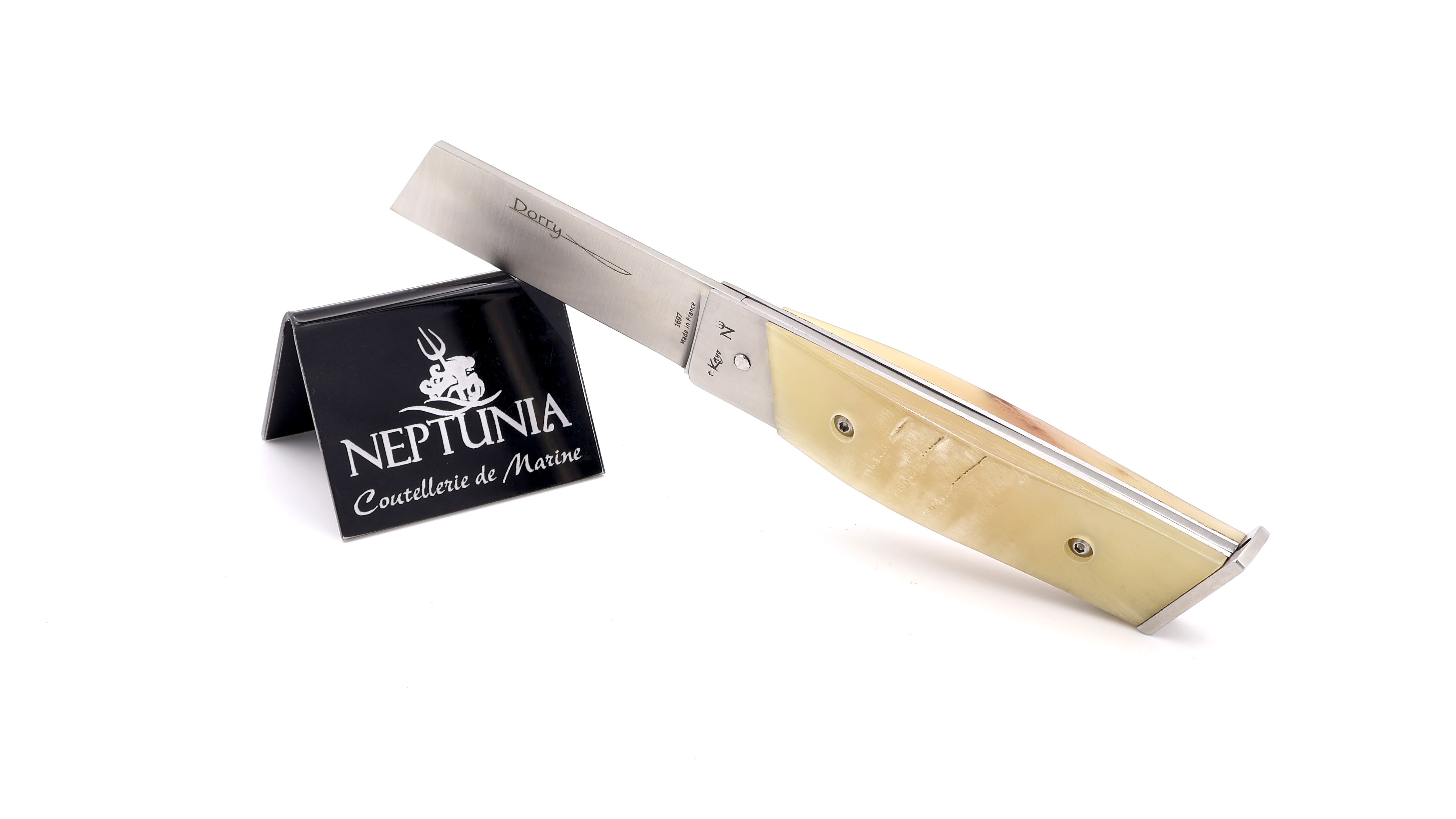 NEPTUNIA DORRY 10 cm ramhorn