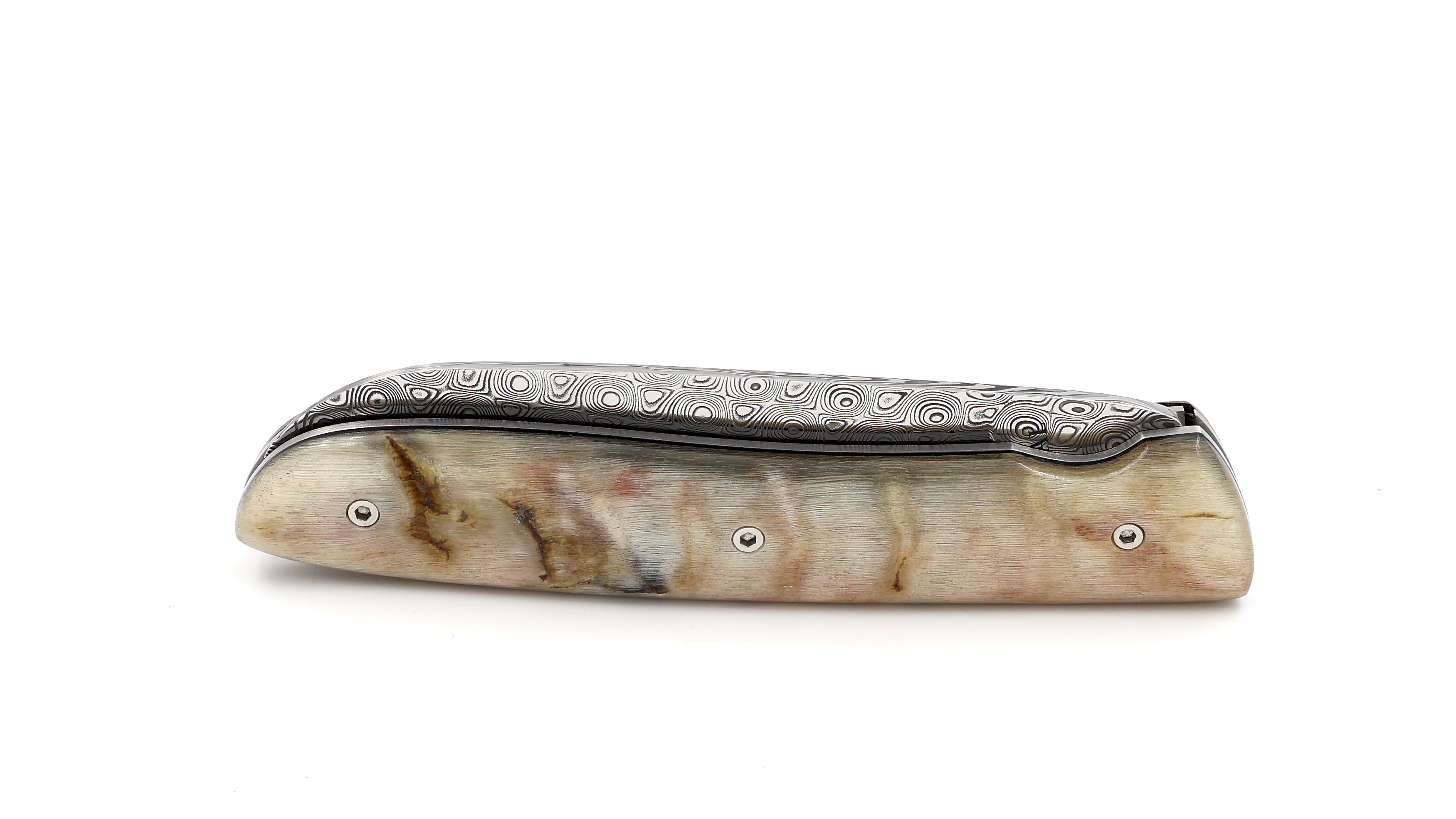 PERCEVAL L08 damascus Ram horn light