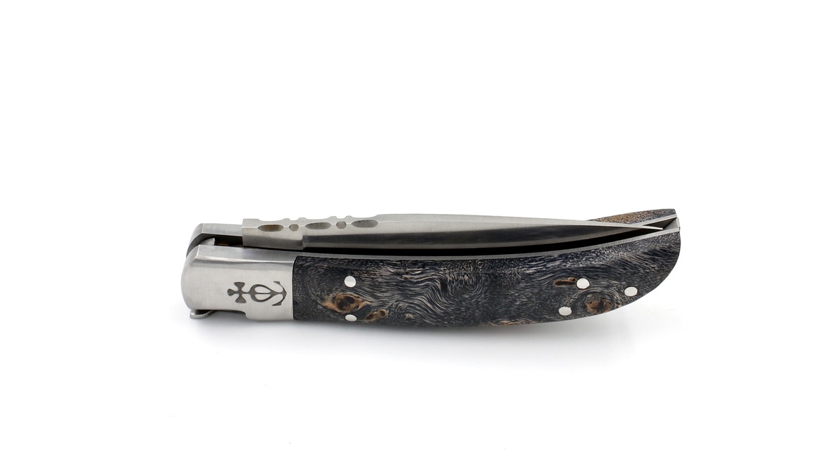 Le Camarguais Maserpappel 10 cm  