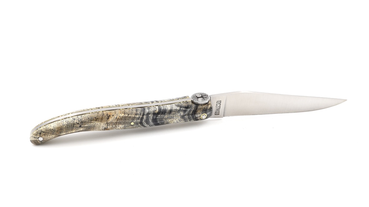 Laguiole en Aubrac Biene LEBENSBAUM schwarze Pappel Wurzel 12 cm