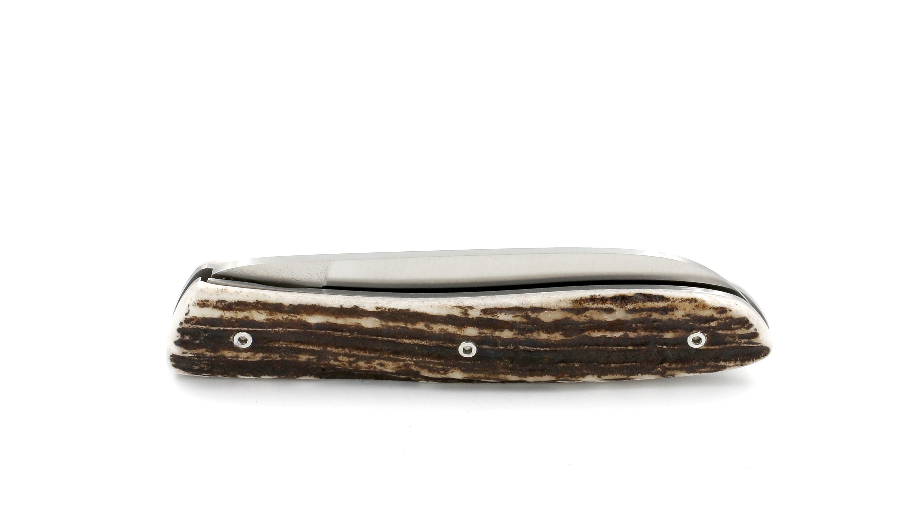 PERCEVAL L08 stag horn