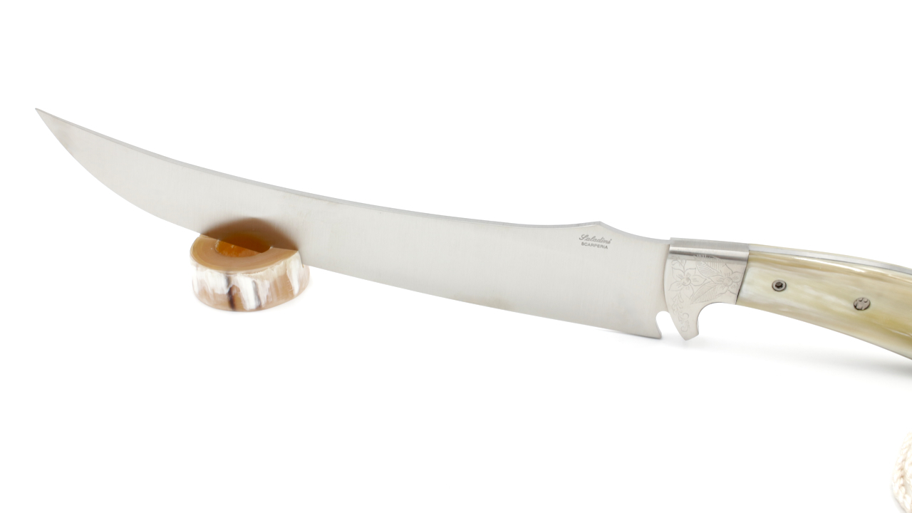 6000C-1 Saladini champagne saber horntip
