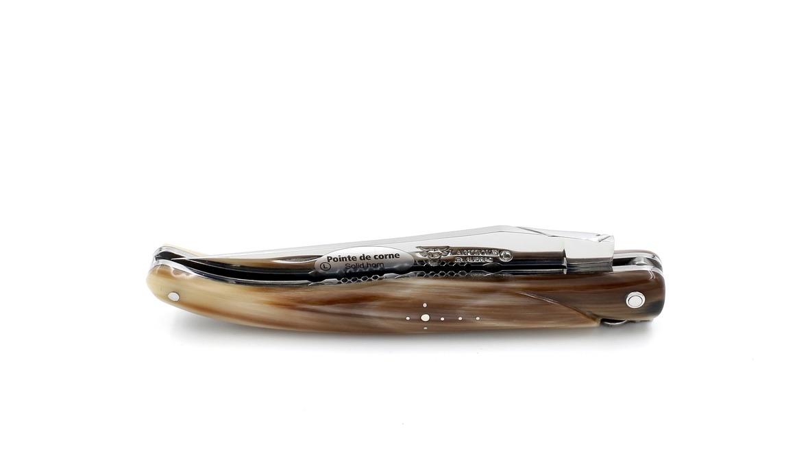 B3A5D417-3E4F-4EB6-95C4-9676D11A7A2B_1_105_c Laguiole en Aubrac Spiralfeder Hornspitze massiv Doppelplatine 12 cm
