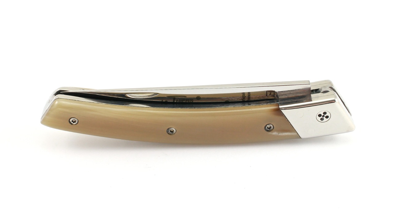 RLT-Hornspitze-hell Claude DOZORME Thiers RLT Hornspitze