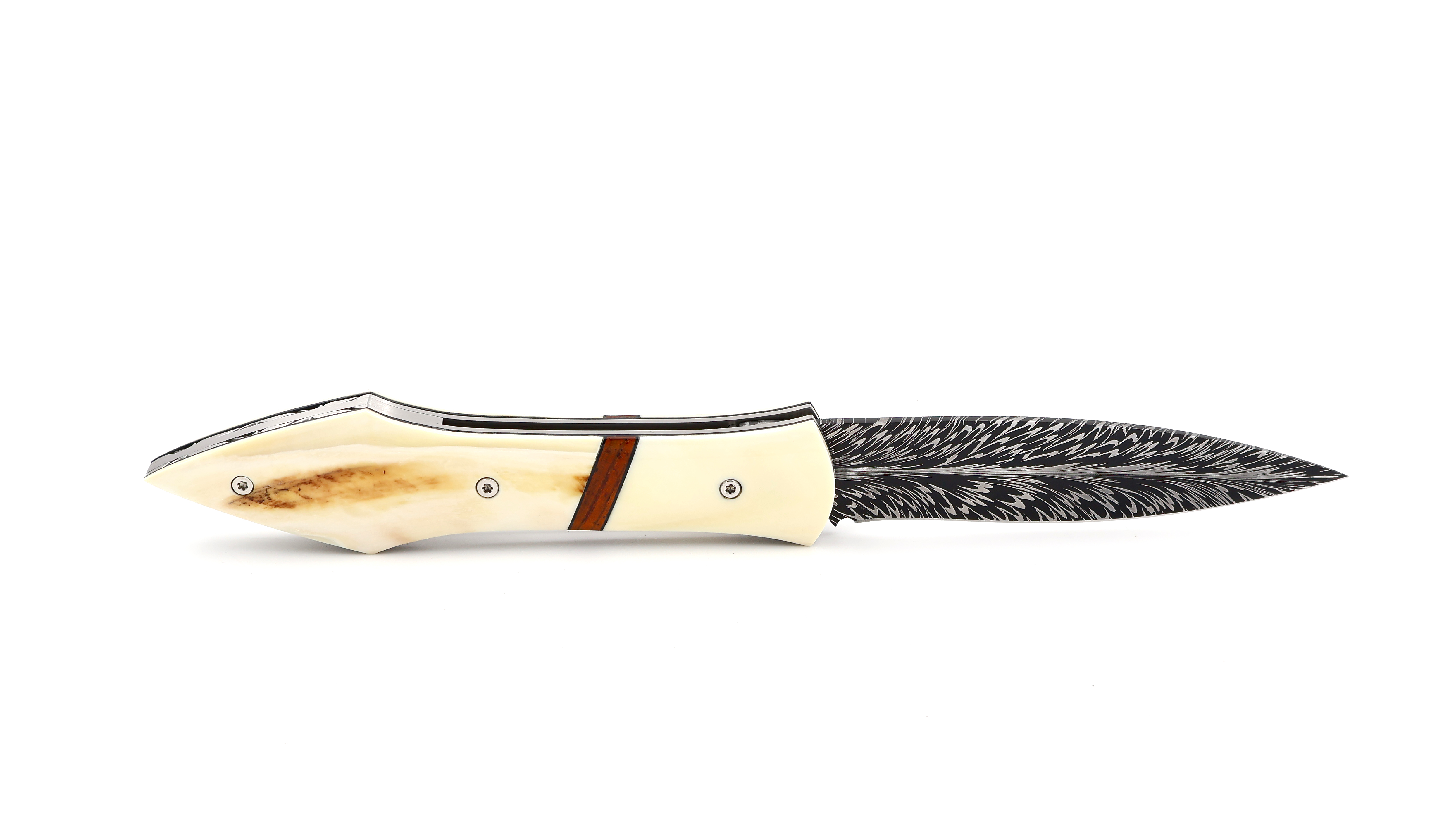 Laraud Blades L’Oegopsyde warthog ivory & damascus blade