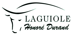 honore-durand_herstellerlogo_300x150pxuwspAhBceGdRH