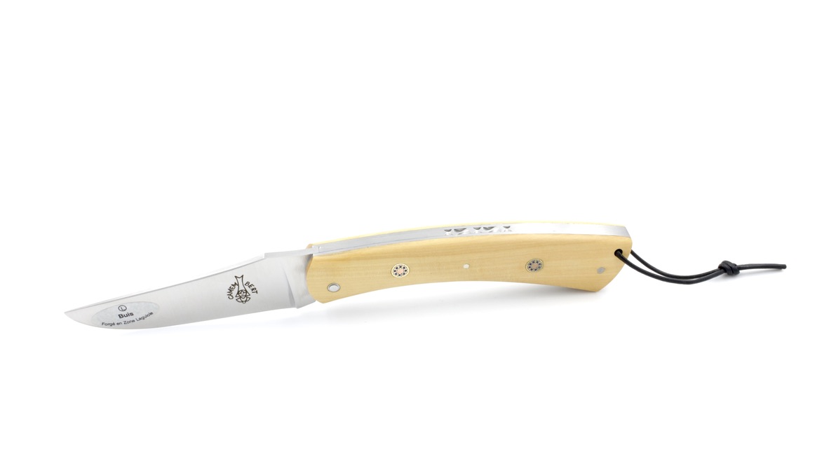 92963BB1-5EA5-49B6-9636-52C298C34D2C_1_105_c Laguiole en Aubrac CAMEMBERT knife boxwood mosaik pins