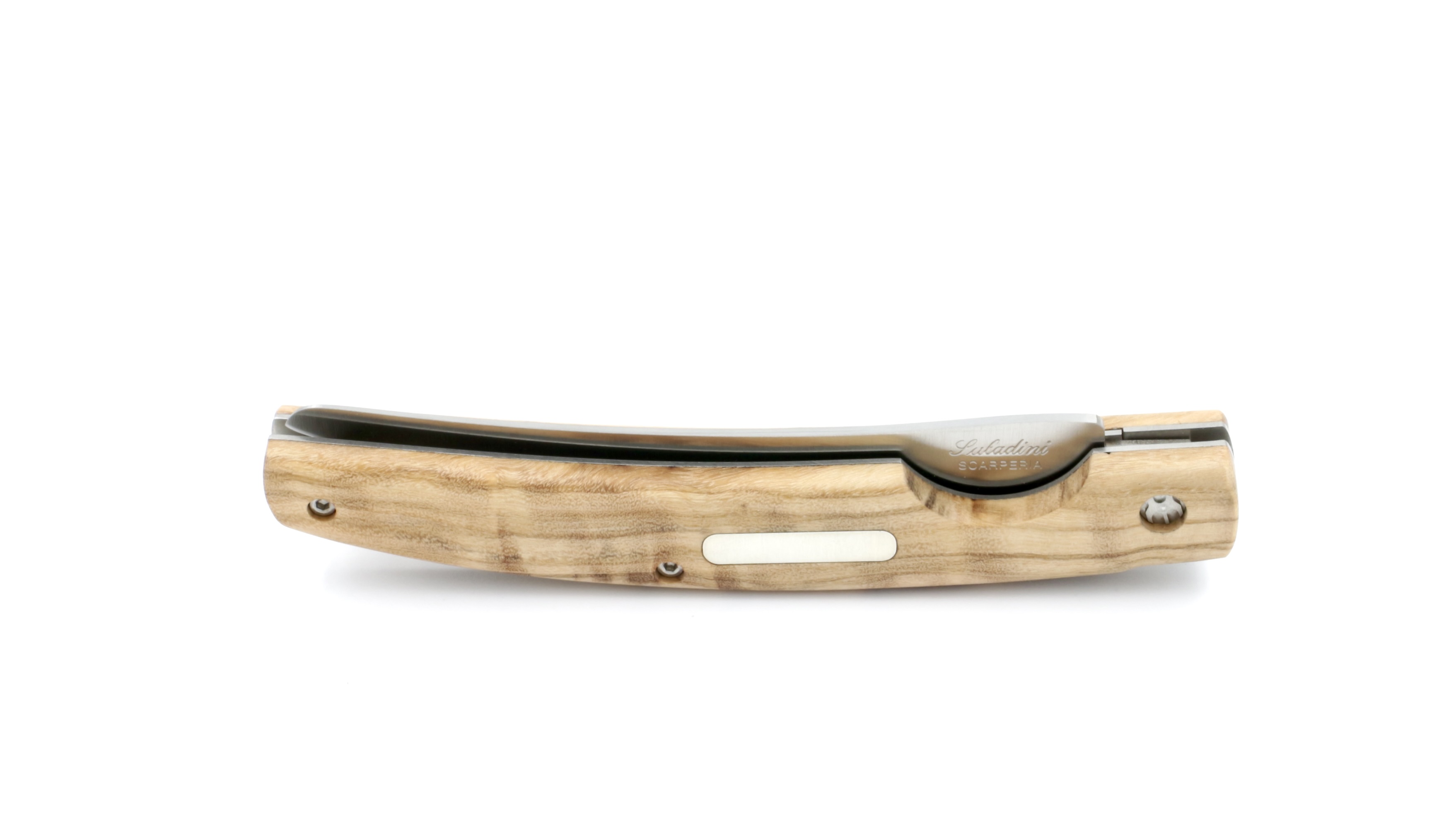 24715761-63FC-4F04-ACDE-FE0730A2155B_1_201_a Saladini TREND Olive