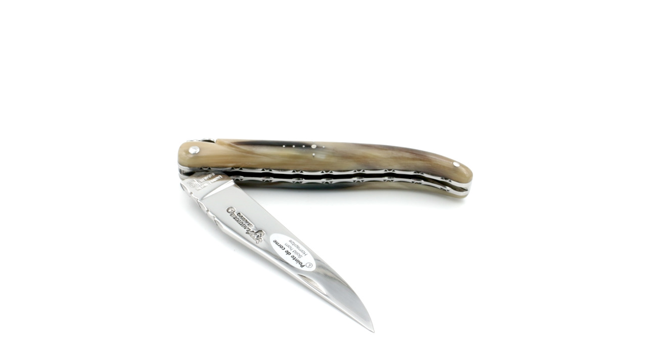 Laguiole en Aubrac double plates knife full handle Horn tip 12 cm