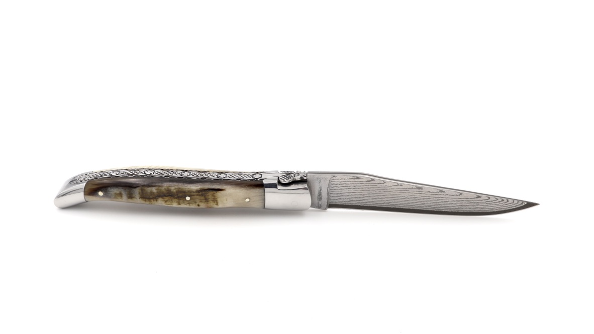 Laguiole en Aubrac double plate knife jap. damascus Ram horn 12 cm