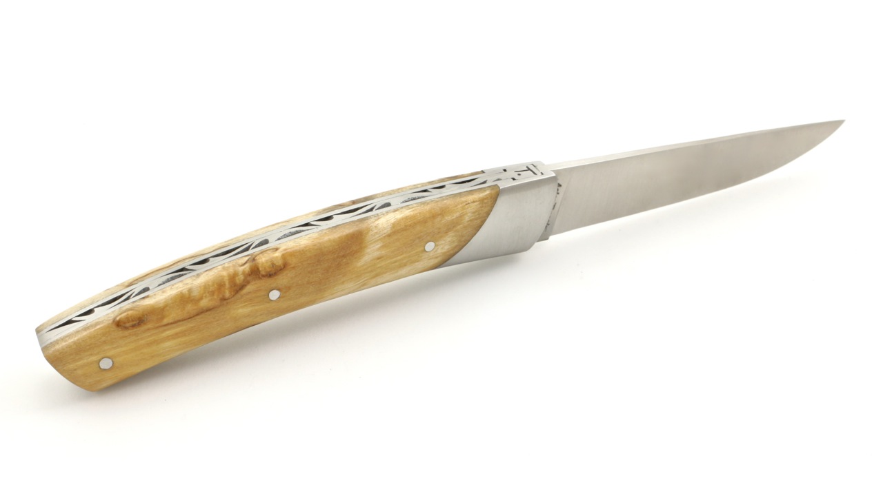 Chambriard Thiers COMPAGNON  Maserbirke