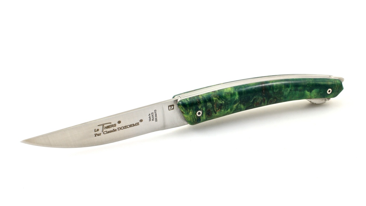 IMG_8348 Claude DOZORME Thiers VERROU Pappel