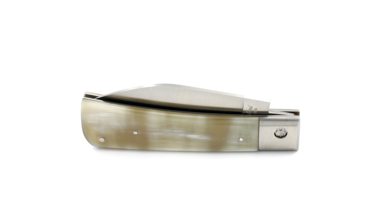 BD9D72A3-89EA-47C5-8222-8AAB9AD78DA5_1_105_c Saladini knife MUGELLANO horn tip