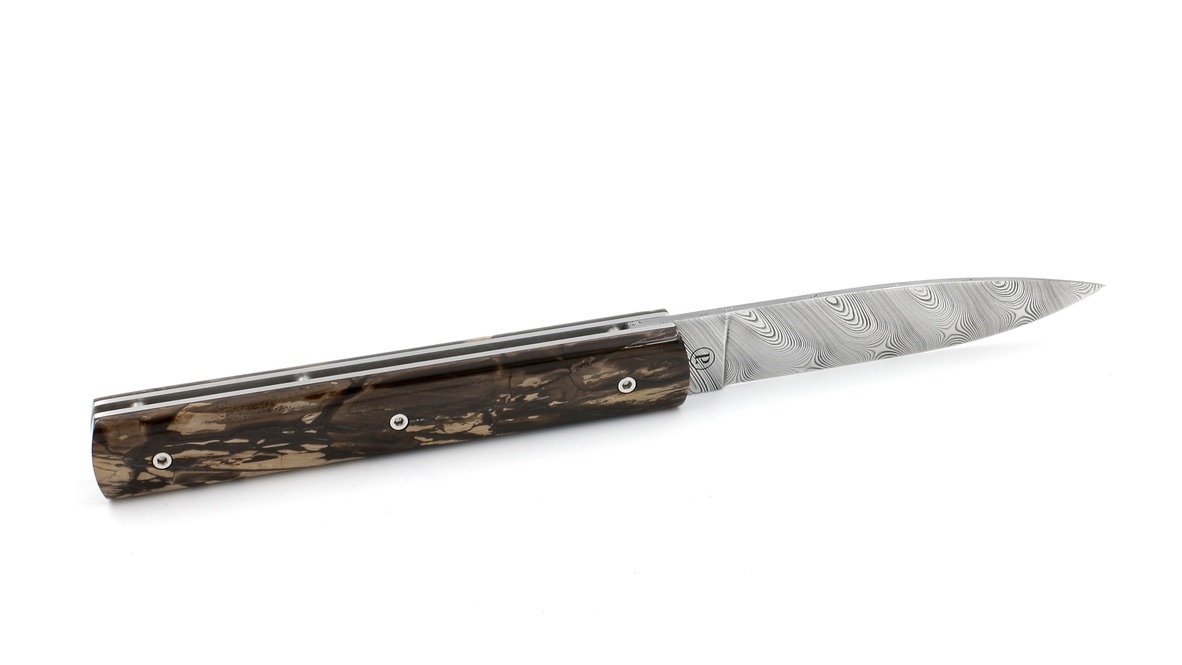 FC20C82B-817A-4E91-A343-C47213C5E7AC_1_105_c PERCEVAL Le Francais Mammott ivory damascusblade