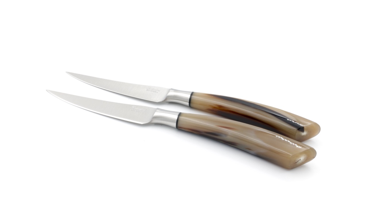 IMG_2556 Saladini Steakmesser-Set 2-tlg. Hornspitze