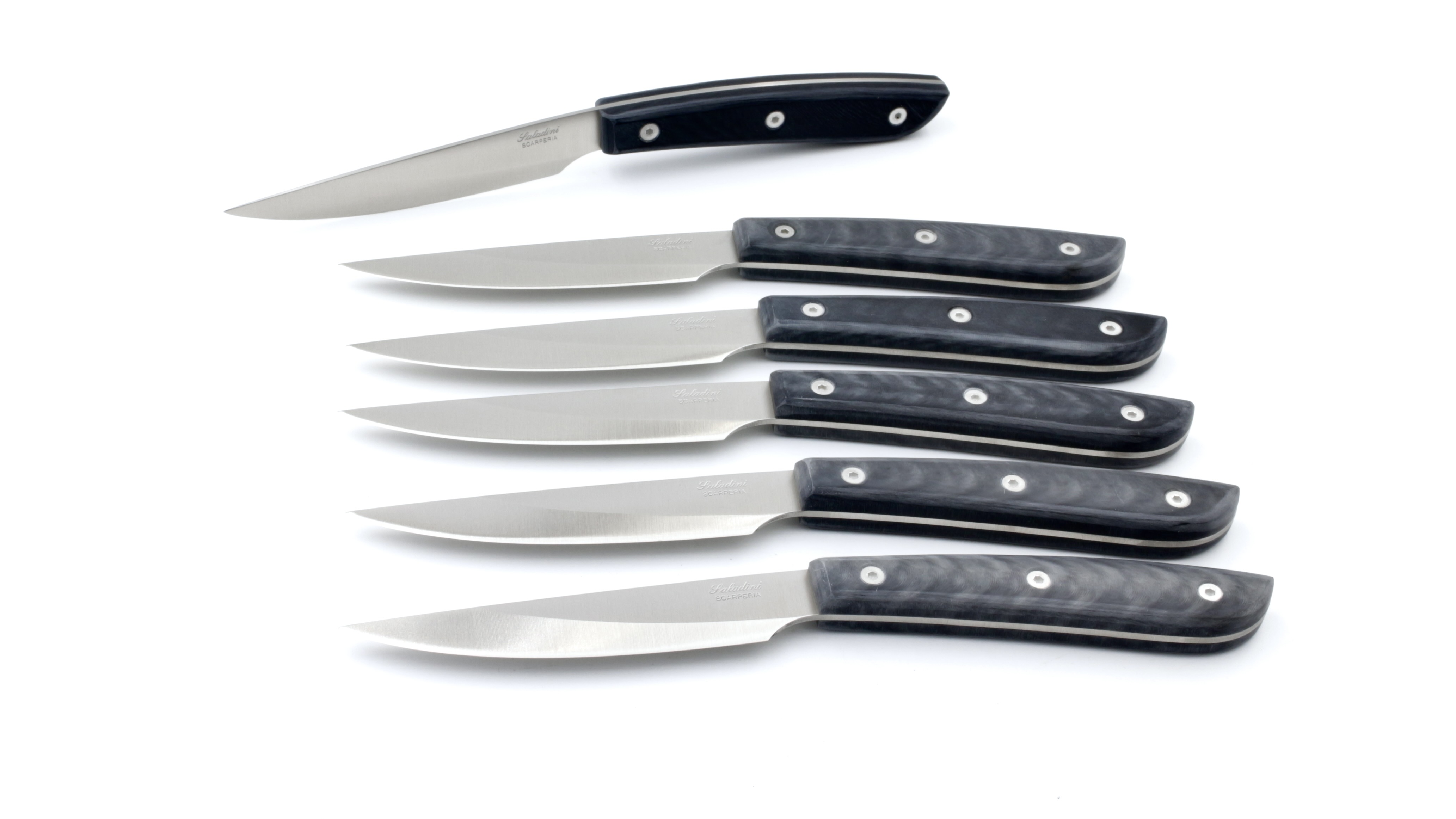 FA3A71FD-9548-4C96-94DD-0133757ADA2F_1_201_aiZCvi34bMHNRO Saladini Steakmesser-Set 6-tlg. Sliced Resin schwarz