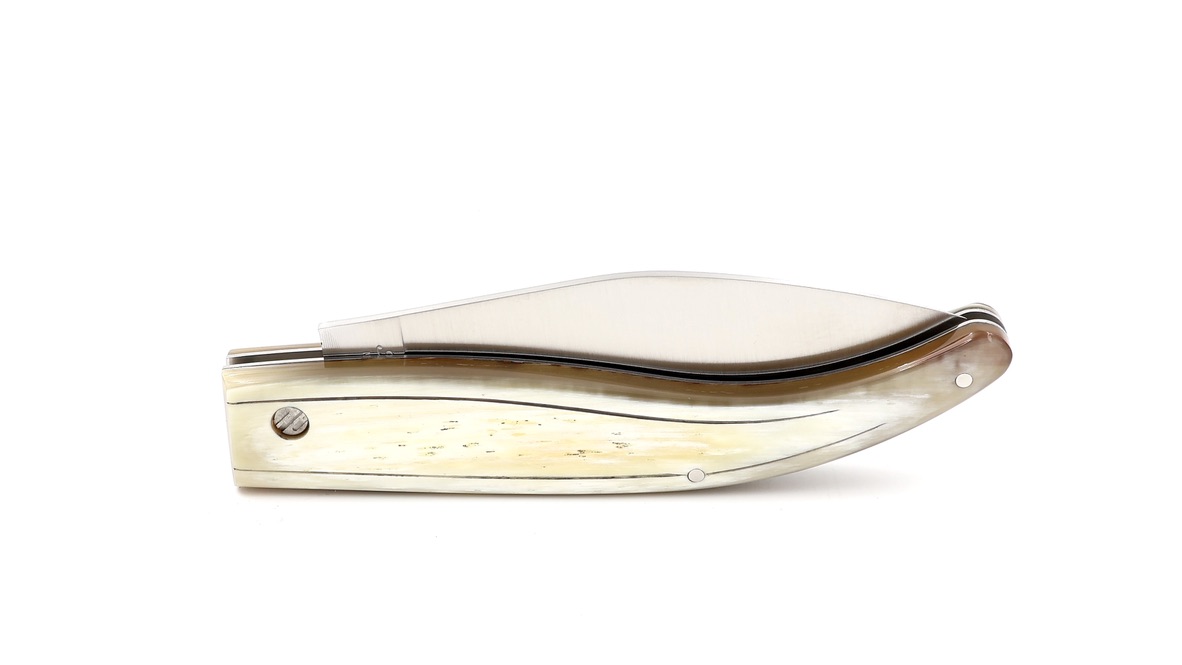 Saladini knife MAREMMANO A FOGLIA horn tip