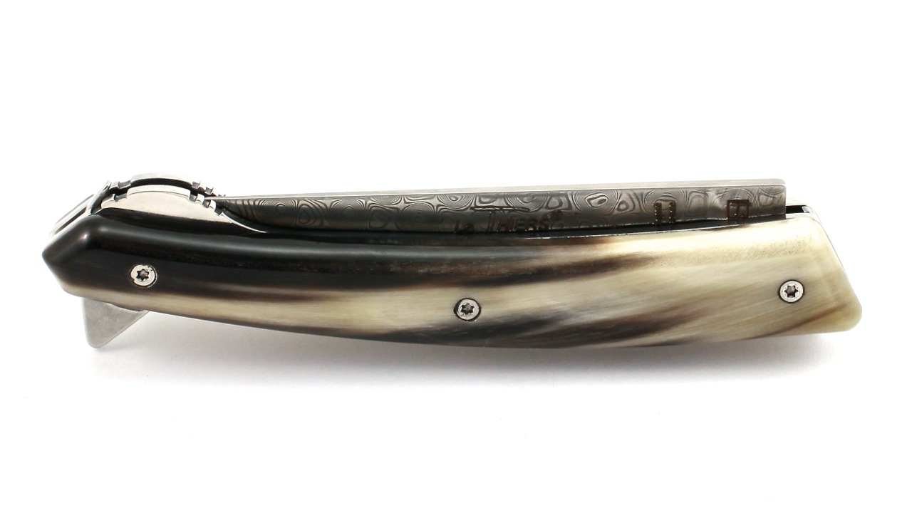 IMG_9217 Claude DOZORME Thiers VERROU Damast Hornspitze