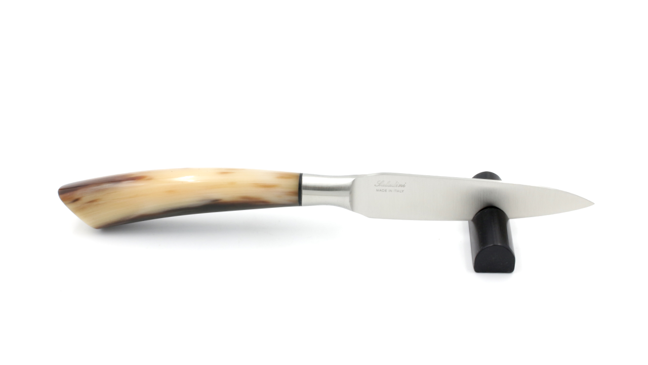 Saladini Tafel Messer Set 6-tlg. Hornspitze