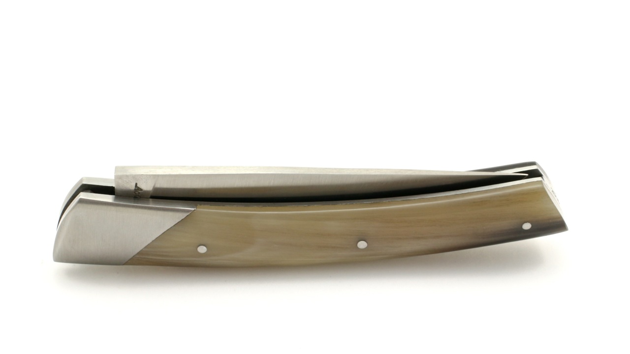 Chambriard-Compagnon-Hornspitze-3 Chambriard Thiers COMPAGNON Hornspitze Piquetage